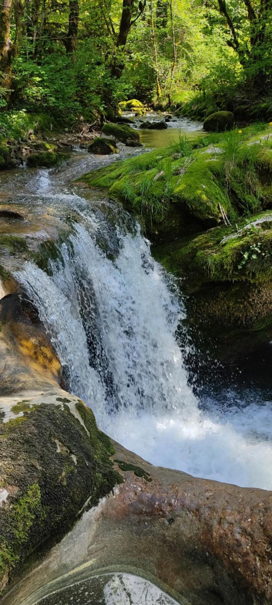 Les Cabanes De Pellier Charcier Dış mekan fotoğraf