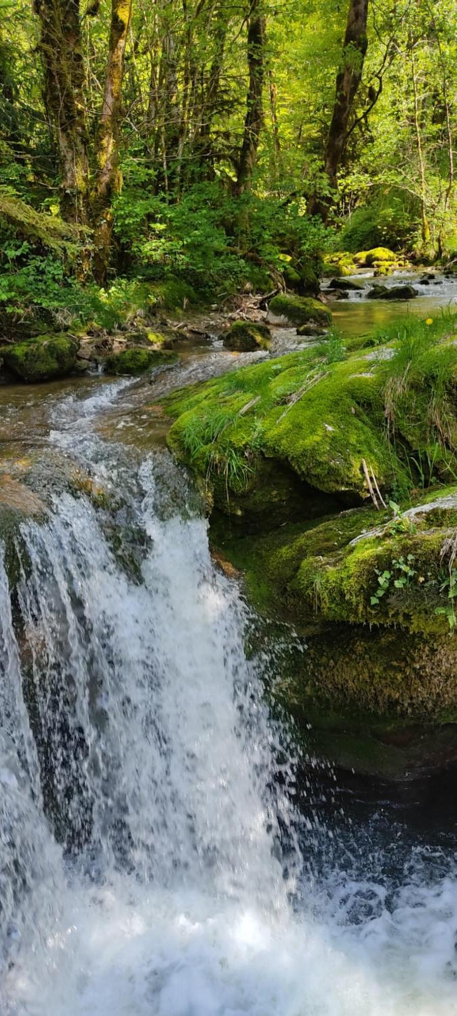 Les Cabanes De Pellier Charcier Dış mekan fotoğraf